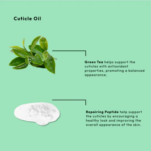 Nail & Cuticle Oil - Green Tea + Repairing Peptides